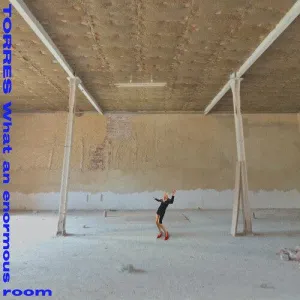 Torres- What an Enormous Room